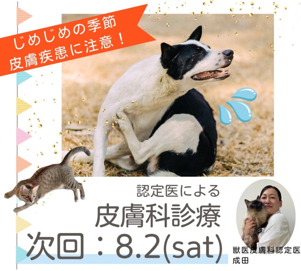 皮膚科専門診療の案内