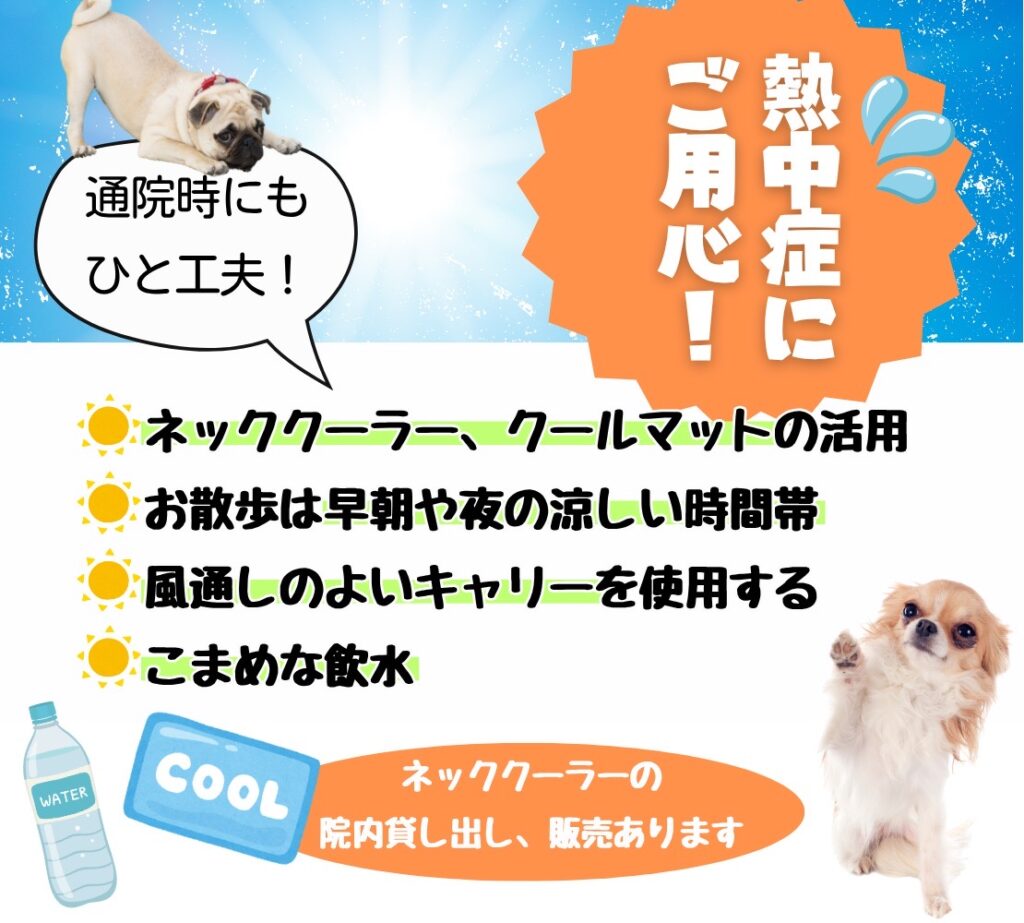 犬の熱中症予防のポスター