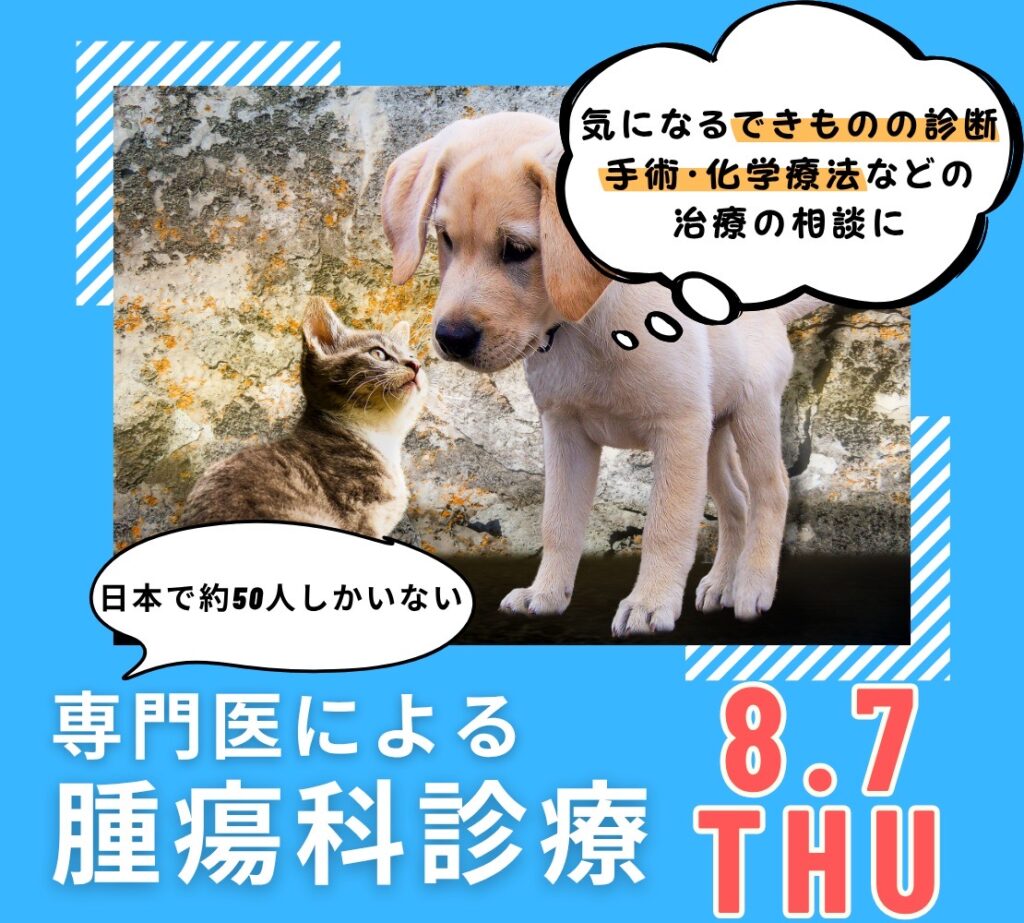 腫瘍科専門診療の案内