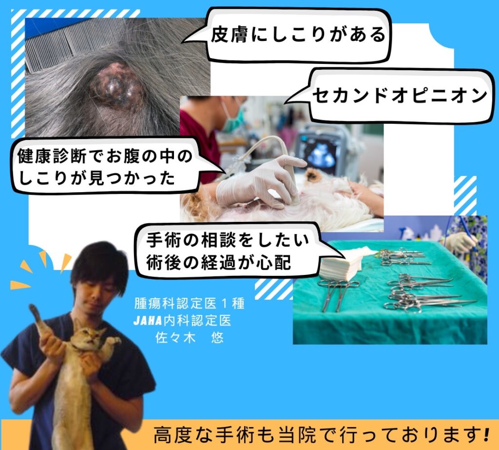 腫瘍科専門診療の案内