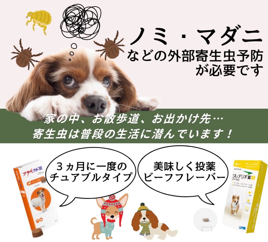犬のノミダニ予防のポスター