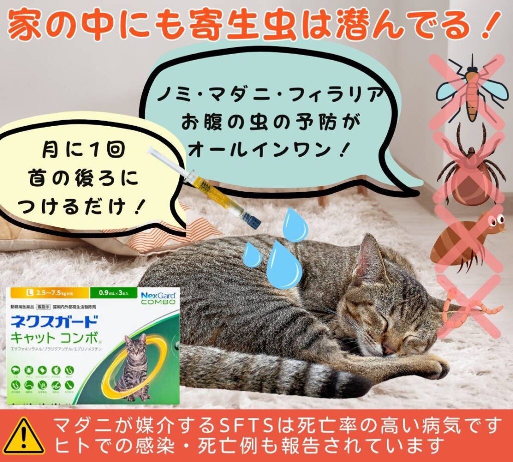 猫の寄生虫予防のポスター