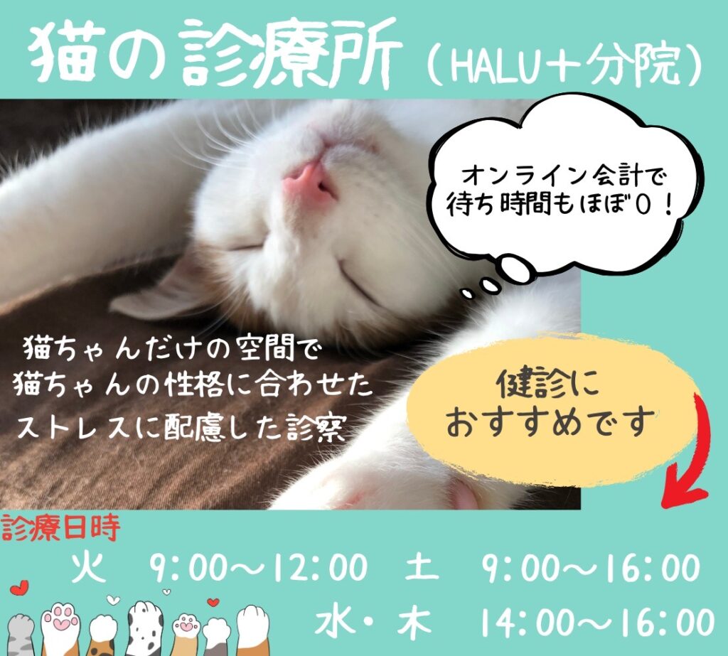 HALU動物病院分院の案内