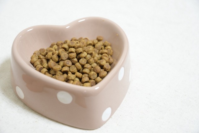 ドッグフードが入った器