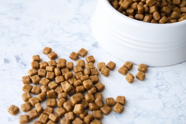 ドッグフード