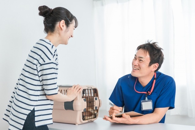 診察室で獣医師と話している猫の飼い主